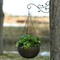 Decorative Metal Wall Mounted Hook for Hanging Plants, Bracket Hanger Flower Pot Holder, 2 Pack